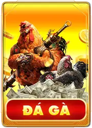 TR88 đá gà